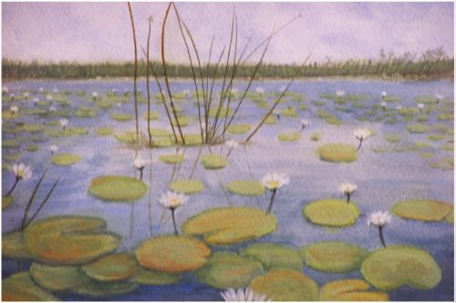 9-Nénuphars_40x28.5-Acrylique